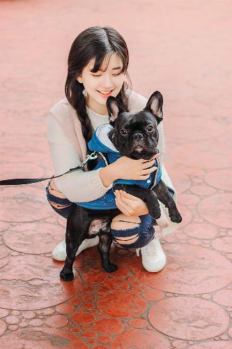 东宫电视剧免费观看全集