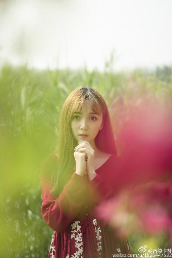 蔷薇风暴电视剧免费观看