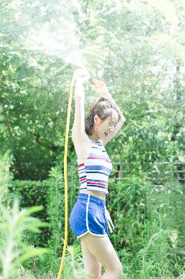 文豪野犬第一季在线观看