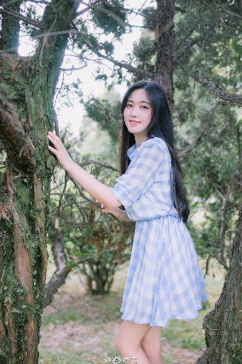 伪装者电视剧全集免费观看