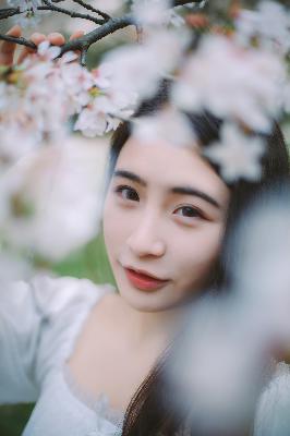 最弱无败神装机龙