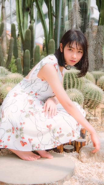 最初的相遇最后的别离电视剧免费观看