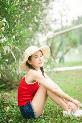 免费观看电视剧全集在线播放高清