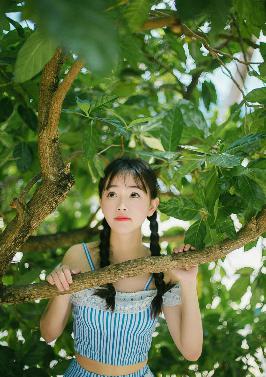 伪装者电视剧全集免费观看