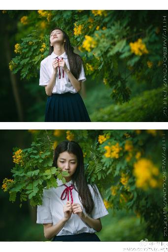 丝瓜视频在线观看