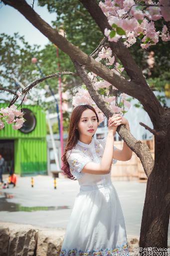 蝴蝶少女现场版