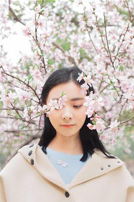 春满宫185集免费观看