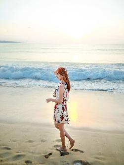 红杏在线观看免费完整版电视剧